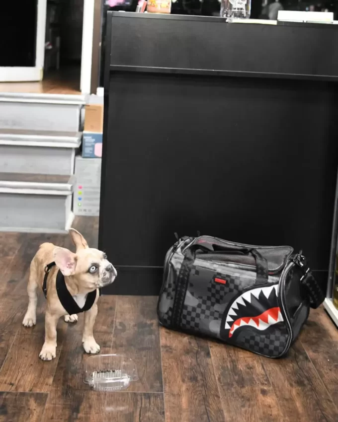 3AM HAUSTIERTRAGSTELLER