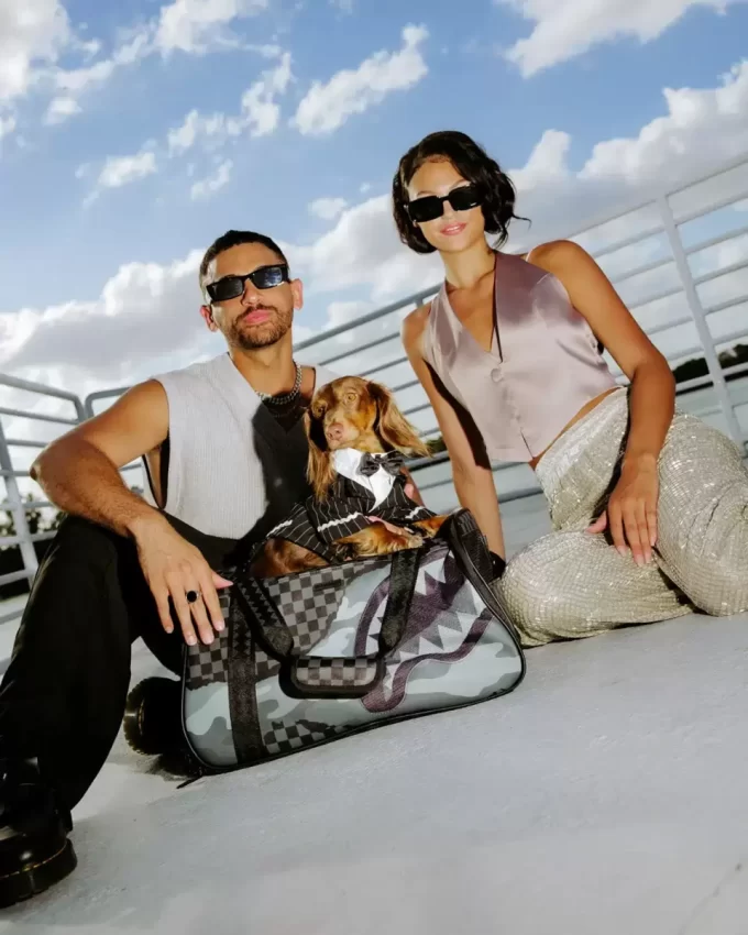 3AM RIPTIDE Haustiertransportbox