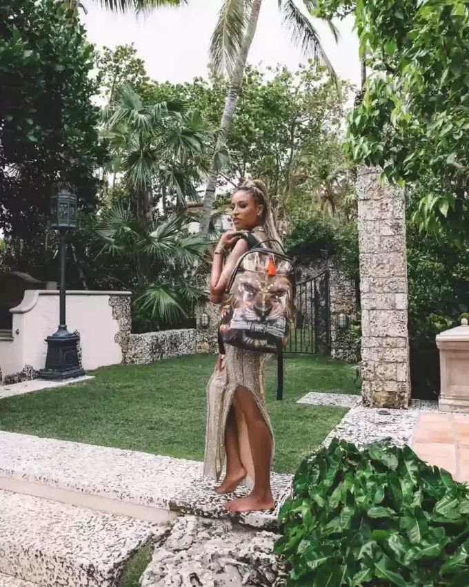 A.i.3 DER MOGUL-RUCKSACK (DLXV)