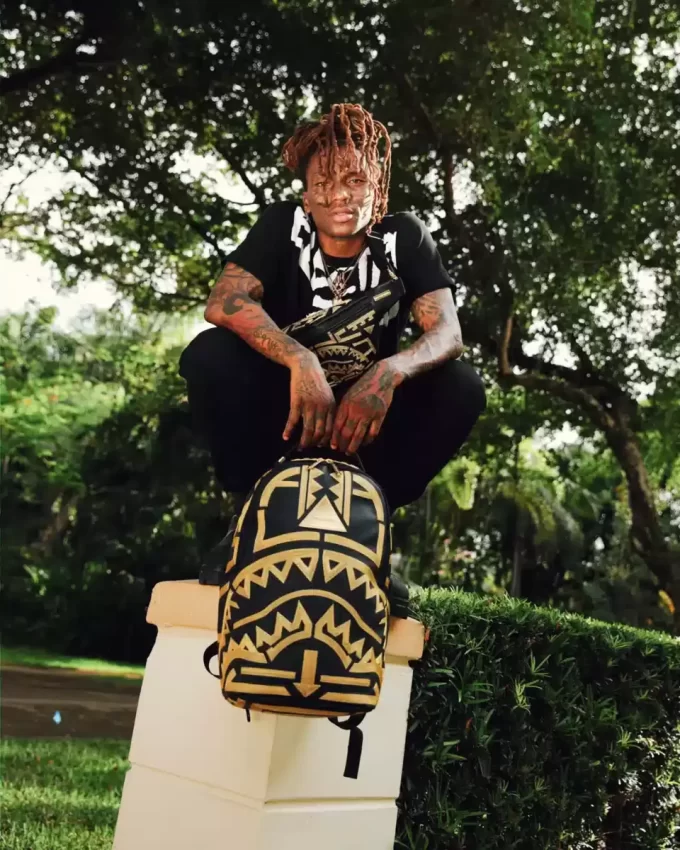 A.I.8 AFRICAN INTELLIGENCE PATH TO THE FUTURE II RUCKSACK (DLXV)