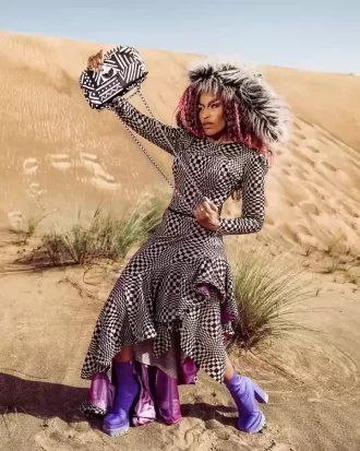 A.I.8 AFRIKANISCHE INTELLIGENZ – URSPRUNGSGESCHICHTE DER HAI-HANDTASCHEN