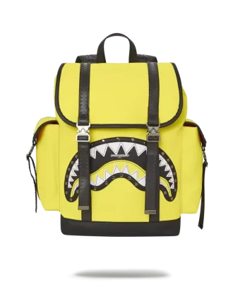 ADRENALINSCHUB MONTE CARLO