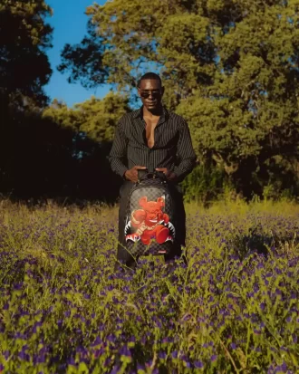 CHASE BANK: DIABLO BACK AT IT (GRAU) (DLXV)