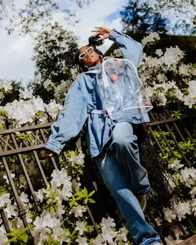 Clear Vision Sharks in Paris – 100 % Clear Deluxe Rucksack