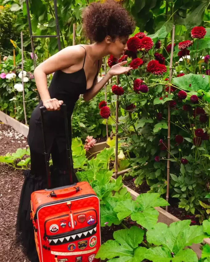 Das globale Expeditions-Jetset-Handgepäck