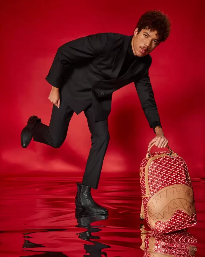 DER 3DSG CONCORDE RUCKSACK