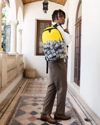 DER UNTERNEHMER-RUCKSACK (DLXV)