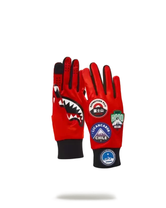 DIE GLOBAL EXPEDITION HANDSCHUHE