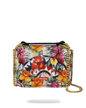 DIE HINTERGRUND-PRÄZISION DES KOLIBRI-HAIS