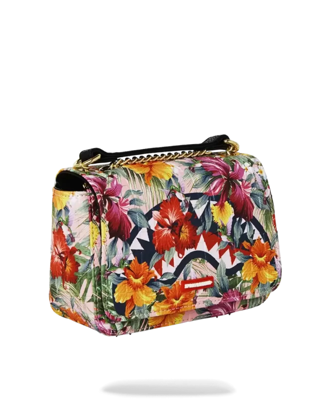 DIE HINTERGRUND-PRÄZISION DES KOLIBRI-HAIS