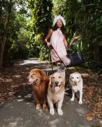 DIE HQ TORTUGA-TASCHE