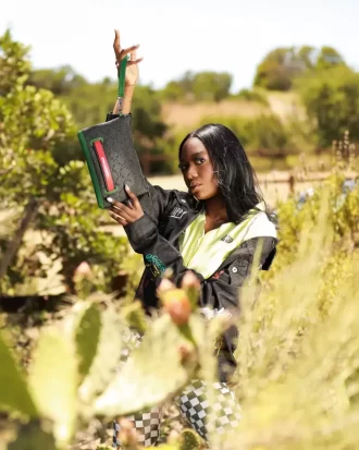 DINERO CROSSOVER-KUPPLUNG