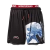 DRAGON WAVE CORTO BADEHOSE (SCHWARZ)