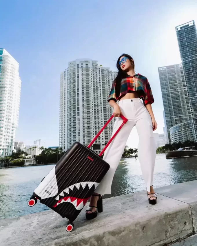 DREIDESTAUFIGER HEIR TO THE THRON HARTSCHALEN-HANDGEPÄCK