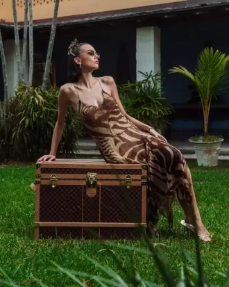 HENNYVILLE HAIE IM PARISER KOFFER