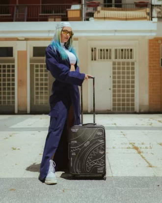 Hightech-Jetsetter-Handgepäck