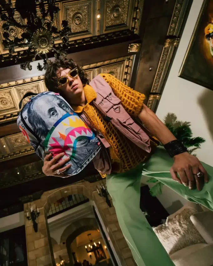 Ich male auf Geld DLXSR Rucksack