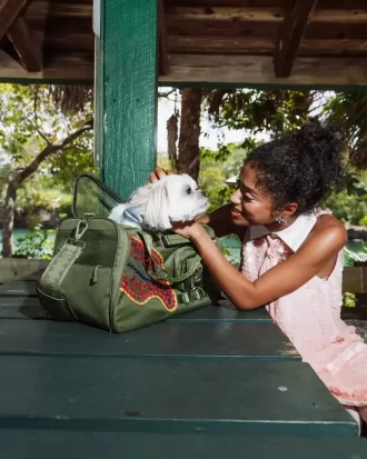 Ich werde nicht aufhören, bis ich der beste Haustiertransporteur bin.