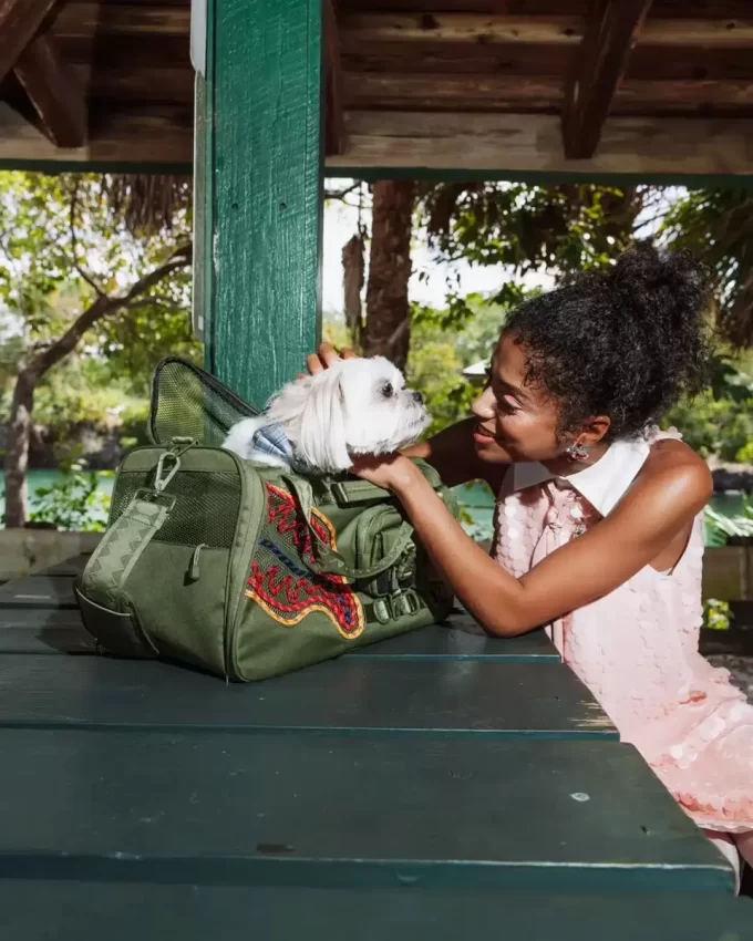 Ich werde nicht aufhören, bis ich der beste Haustiertransporteur bin. Ich werde nicht aufhören, bis ich der beste Haustiertransporteur bin.