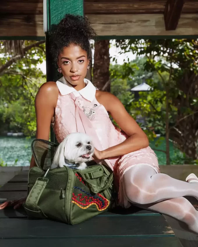 Ich werde nicht aufhören, bis ich der beste Haustiertransporteur bin. Ich werde nicht aufhören, bis ich der beste Haustiertransporteur bin.