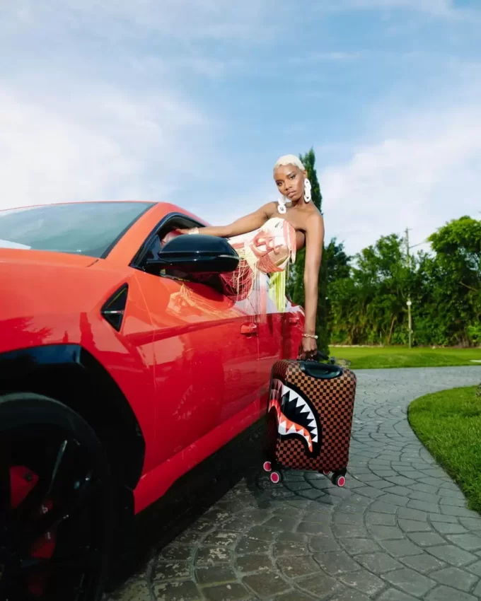 Lentikulareffekte, Softshell-Handgepäck Lentikulareffekte, Softshell-Handgepäck