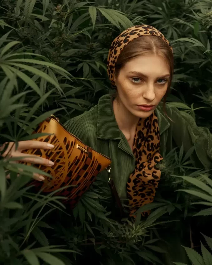 PARIS PAINT CROSSOVER-KUPPLUNG