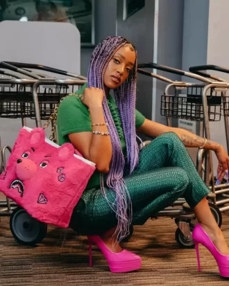 Plüsch-Geldbär-Tragetasche (rosa)