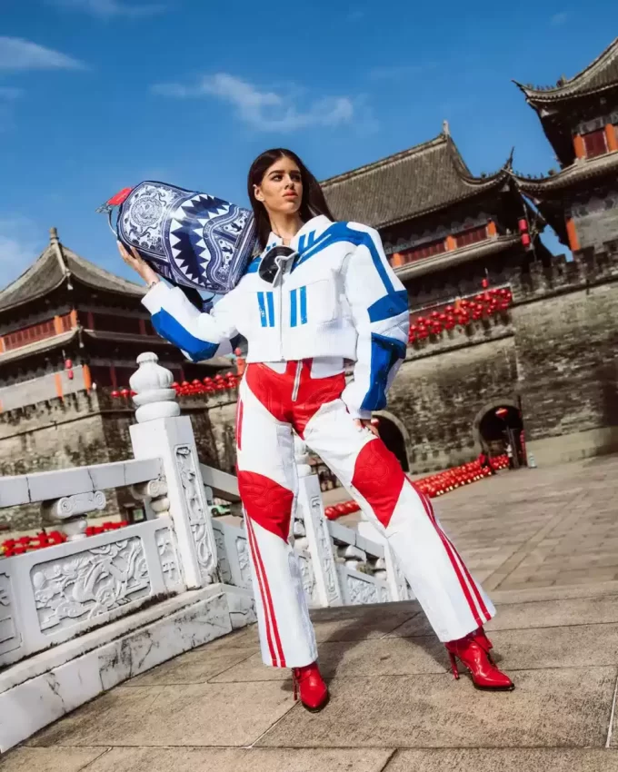 PORZELLAN-RUCKSACK MIT TIGER, PHÖNIX UND HAI