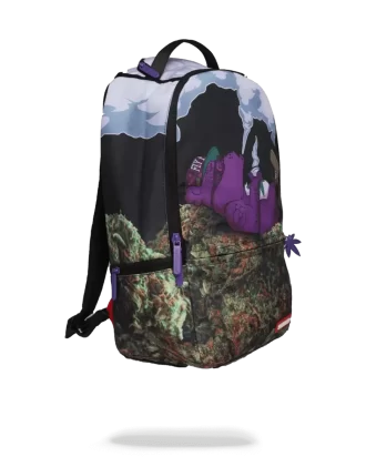 PURPLE HAZE GANJA BÄR