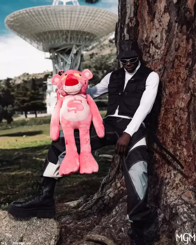 ROSA PANTHER-TEDDYBÄR-RUCKSACK, DER NICHTS GUTES VORHAT