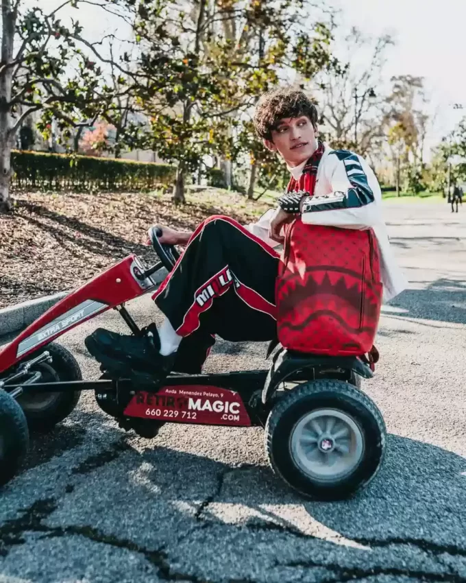 RUCKSACK MIT GELDMUSTER UND ZIEGELSTEIN-MODUS (DLXV)