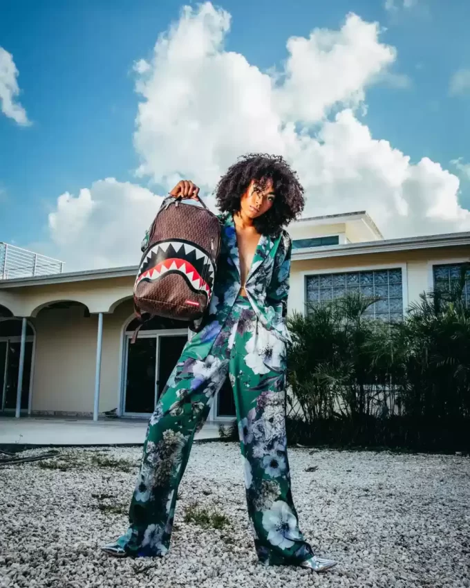 RUCKSACK ZUM EINLÖSEN VON SCHECKS (DLXV)