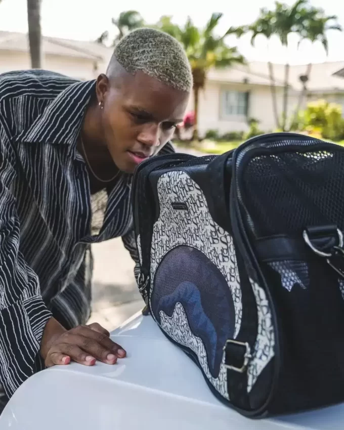 SG ALL DAY HAUSTIERTRAGSCHUH