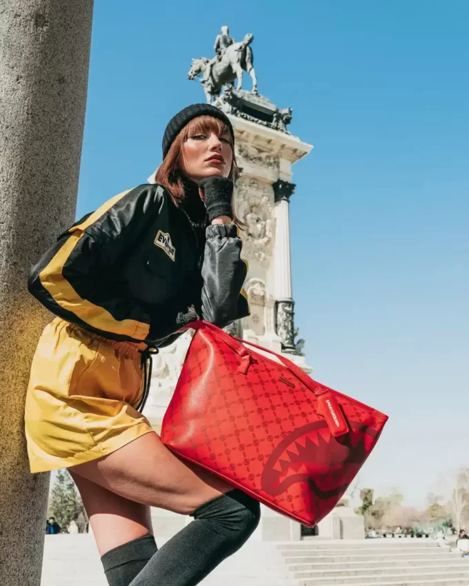 Tragetasche mit Geldmuster