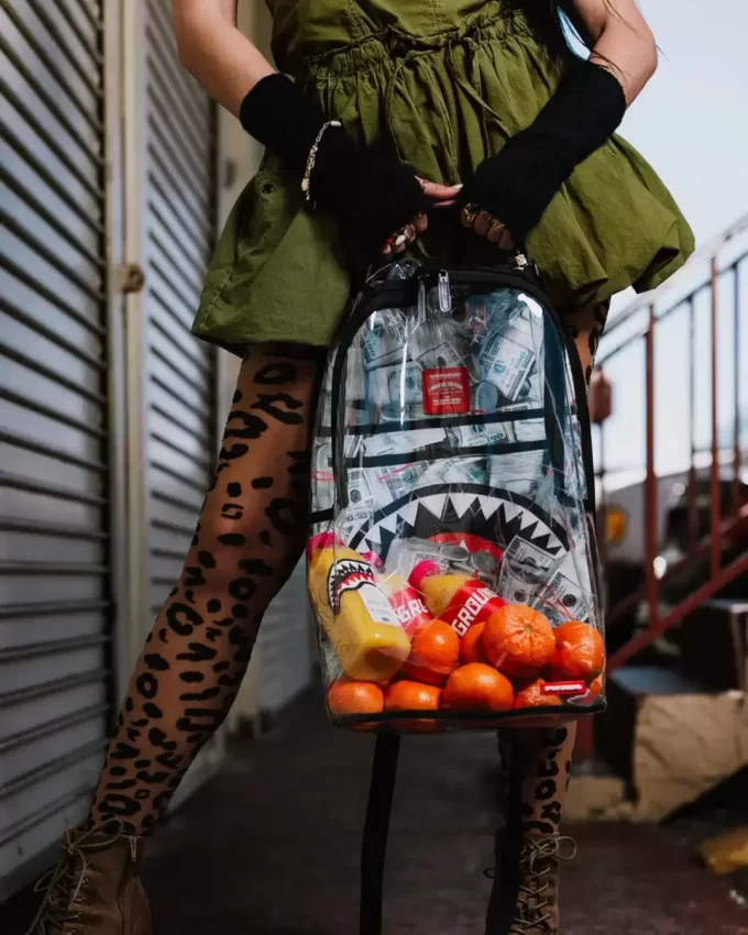 TRANSPARENTER RUCKSACK – MONEY CHOMP