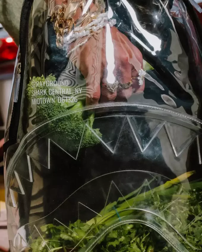 TRANSPARENTER RUCKSACK – SHARK CENTRAL