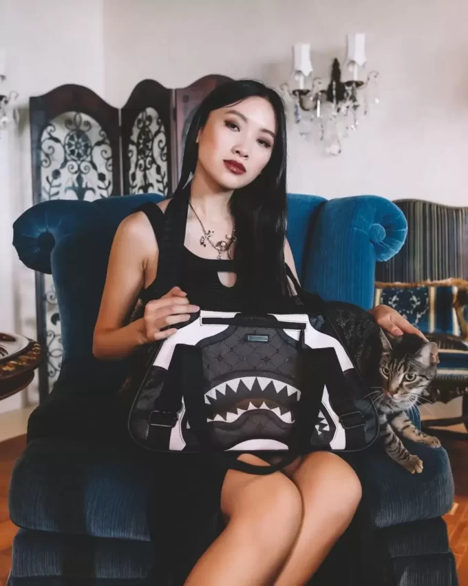 VIP-Tragtasche für Haustiere VIP-Tragtasche für Haustiere